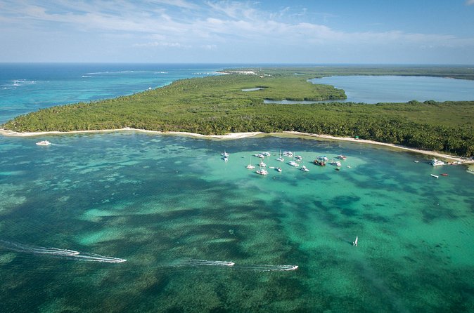 Small Group Punta Cana Snorkeling with Premium Open Bar - The itinerary flow: what the 3.5 hours likely feels like