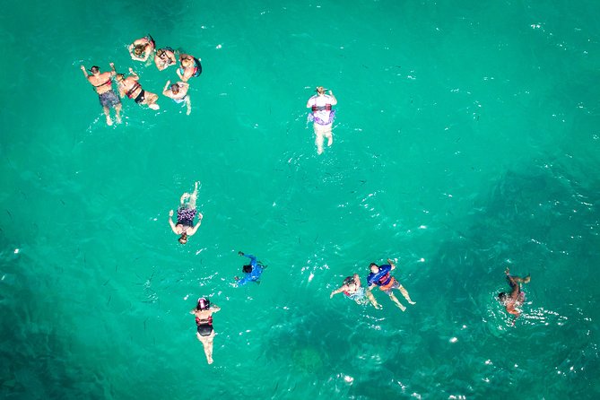 Small Group Snorkeling Cruise with Open Bar and Light Snacks - Your 3.5 Hours at Sea: A Simple, Fun Flow