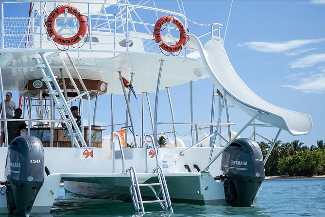Small Group Snorkeling Cruise with Open Bar and Light Snacks - The Sandbar Stop and Stand-Up Paddle Board Time