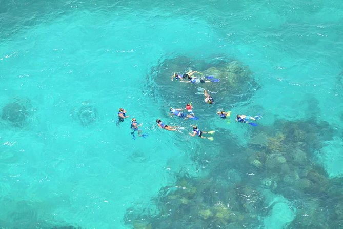 Snorkeling Adventure at Isla Mujeres Includes Lunch and Open Bar - Who Should Book This Catamaran Trip—and Who Should Skip It