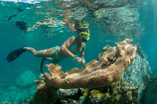 St. John Full-Day Lime Out Snorkel Taco Lunch & Open Bar - Westin - The sailing back: downwind ease with reef-fresh eyes
