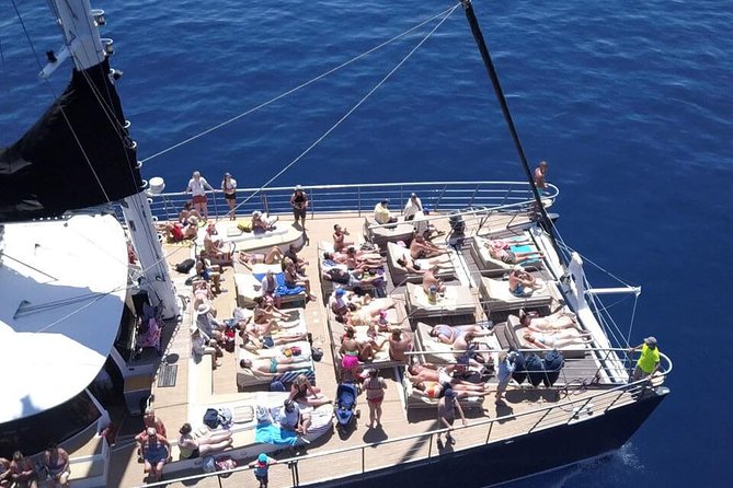 Western Tenerife Cruise with Lunch and Open Bar - What About Wildlife and Island Commentary?