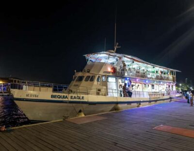 White Night Boat Party: Dinner Buffet, Dancing and Open Bar - Price and what’s actually included in the $115 ticket