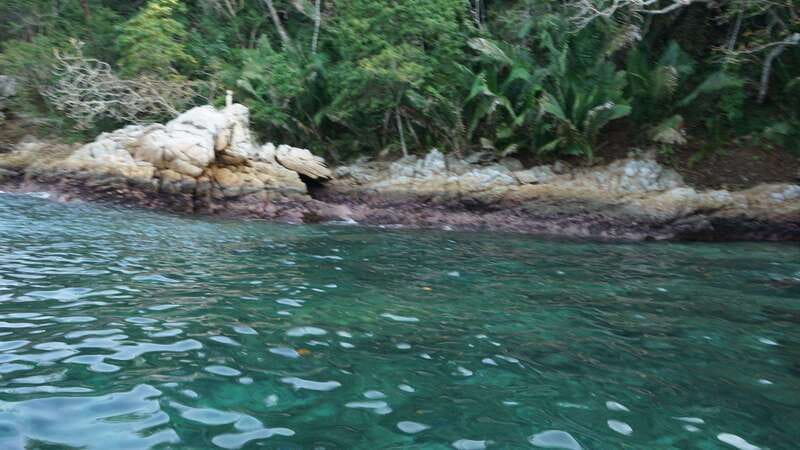 Yelapa: Catamaran Cruise with Lunch and Open Bar - The waterfall hike (and the river crossing you should plan for)